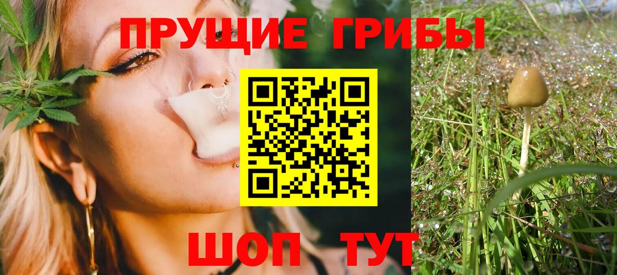 Псилоцибиновые грибы прущие грибы Ярцево
