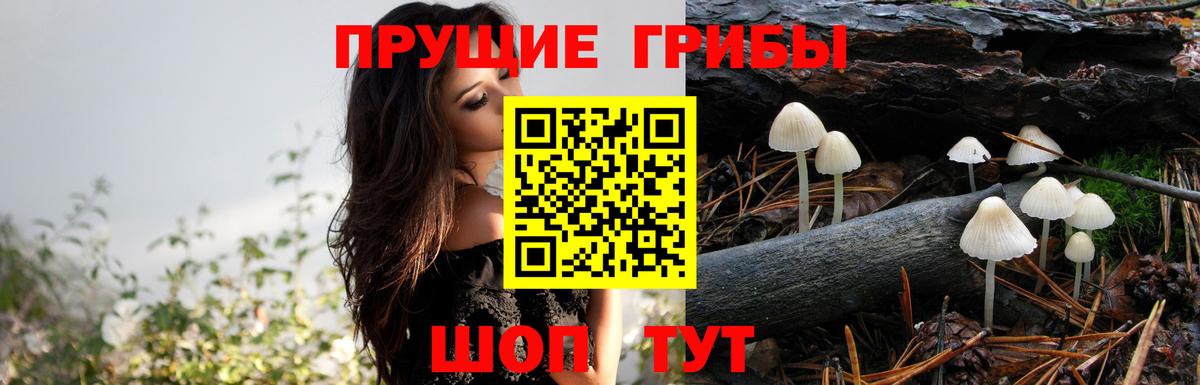 Псилоцибиновые грибы MAGIC MUSHROOMS  Вход с VPN  Ярцево 
